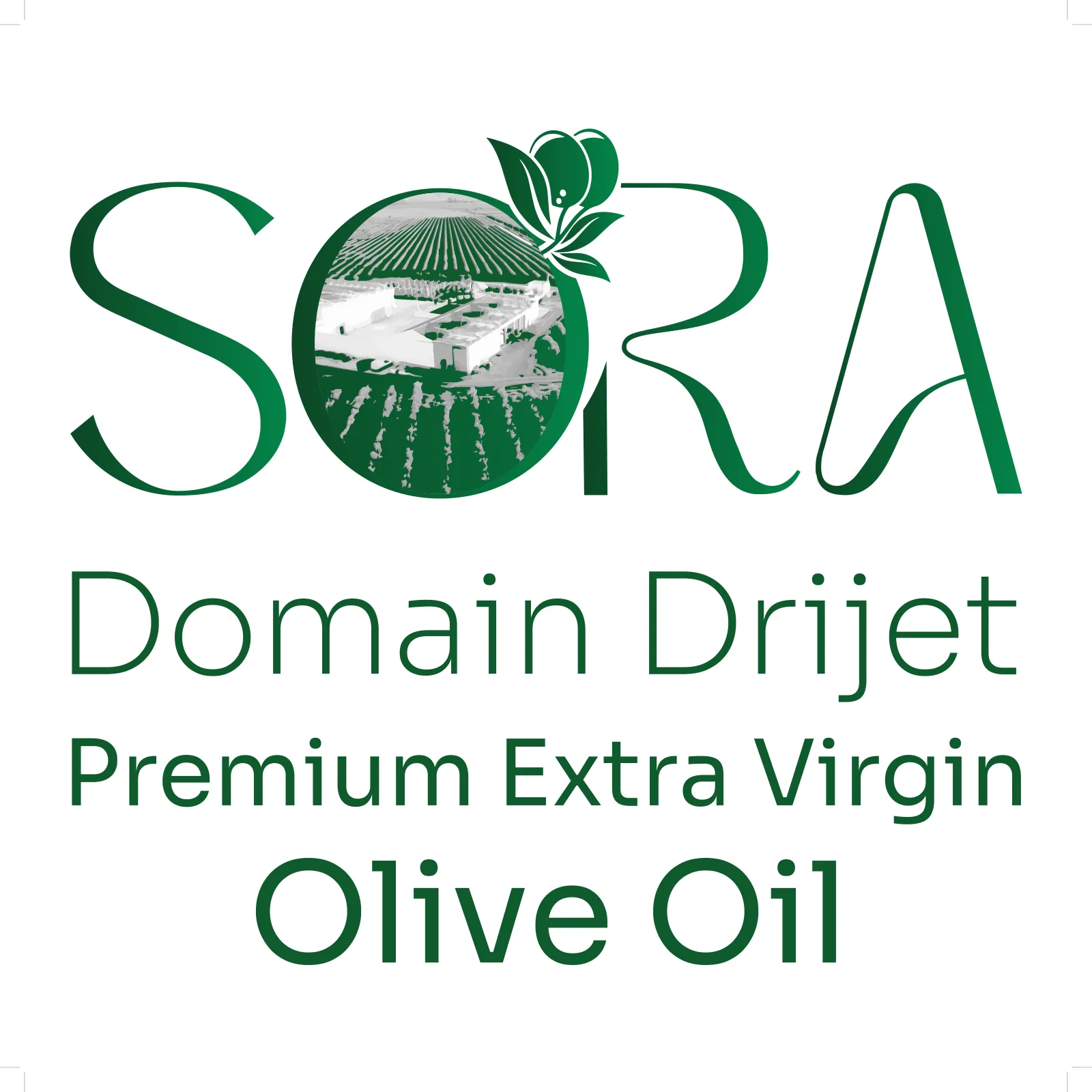 Logo SORA