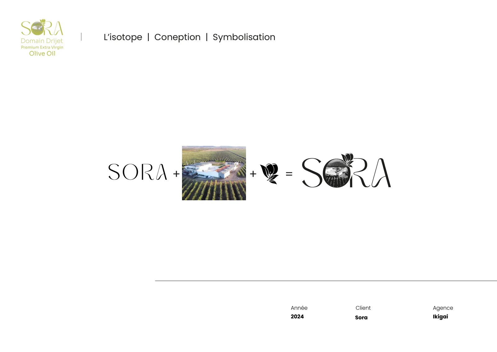Construction du logo SORA : le nom, le paysage d’oliviers et l’élément végétal