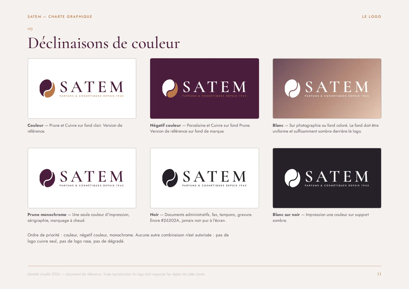 Déclinaisons de couleur du logo SATEM