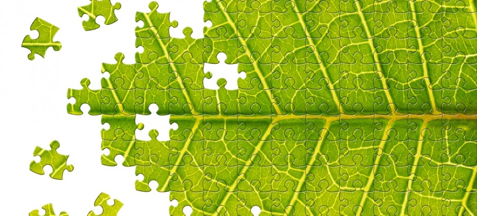 Marketing responsable