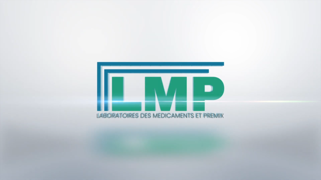 Plongée au cœur des Processus de Fabrication de LMP