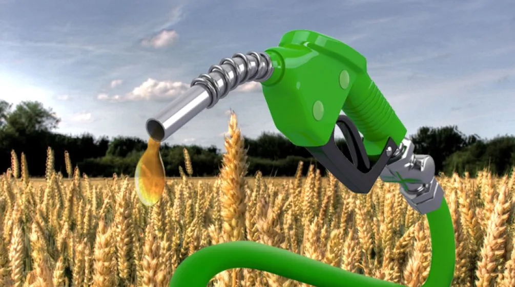 agrocarburants agence de communicqtion tunisie